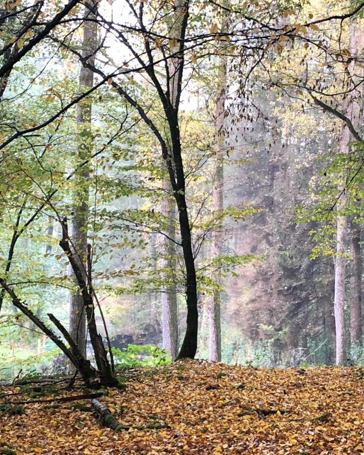 Gartenblick Ляйхлинген Экстерьер фото
